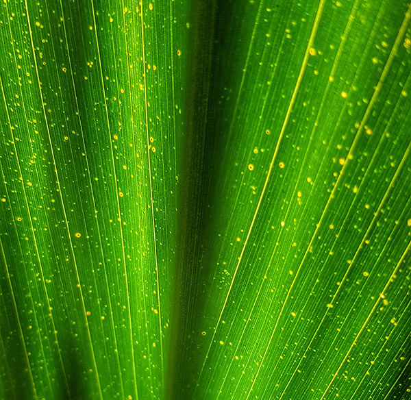 vlad-kutepov-NXyPvKgNnWg-unsplash
